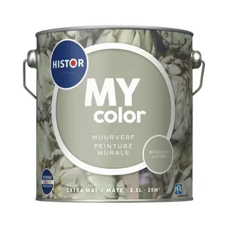 Histor My Color Muurverf Extra Mat - Reinigbaar - Extra Dekkend - 2.5L - Boulder Lichen - Lichtgroen