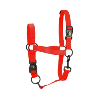 Holland Animal Care Excellent Horse - S (Shet) - Essential Halster - Halster Voor Paard - Geschikt Voor Paarden - Rood