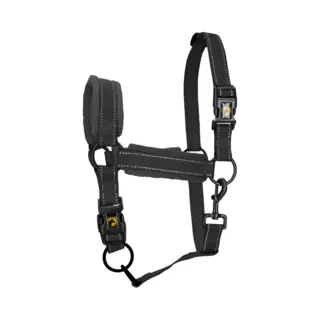 Holland Animal Care Excellent Horse Superior Essential Halster - M (Pony) - Reflecterend Halster Voor Paard - Paardenhalster Met Fleece Onderlegde Neusriem - Geschikt