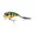 chrome perch