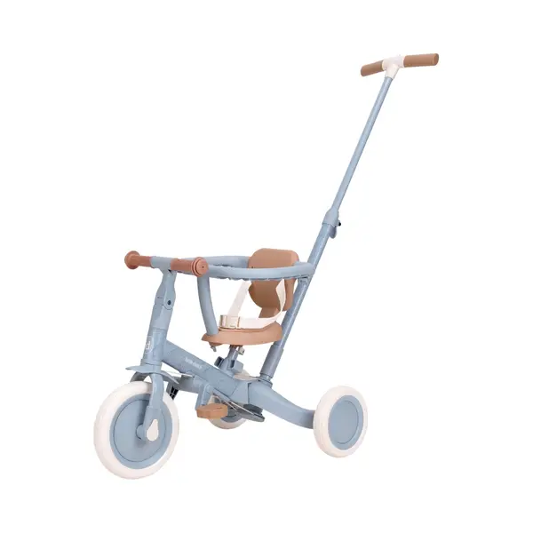 Little Dutch 4-in-1 Laufrad Dreirad - Inkl. Schubstange, Pedale, Sicherheitsgurt Und -Ring - Kinderdreirad - Lauffahrrad - Für Mädchen Und Jungen - thumbnail