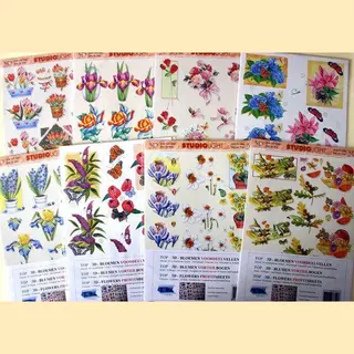 Top-Hobby 3D Knipvellen Bloemen - 10 Verschillende A4 Vellen Voor Kaarten
