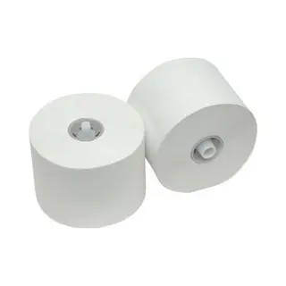 Hygienepapier.nl Toiletpapier Tissue Dop 100m 2L (P50610BL)