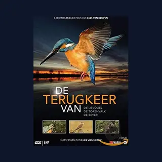 Dvd Dvd De Terugkeer Van De Ijsvogel Torenv