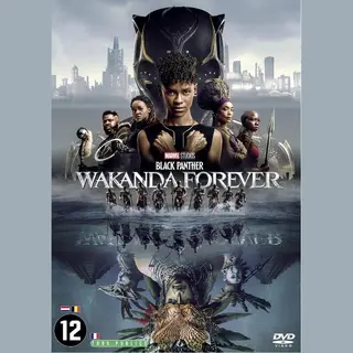 Disney Movies Black Panther - Wakanda Forever (Dvd)