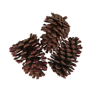 Clayre & Eef Decoratie Dennenappel Set Van 3 8/10 Cm Bruin Hout