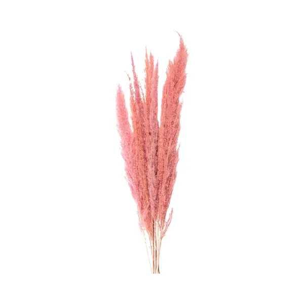 Clayre & Eef Droogbloemen 100 Cm Roze Droogbloemen thumbnail