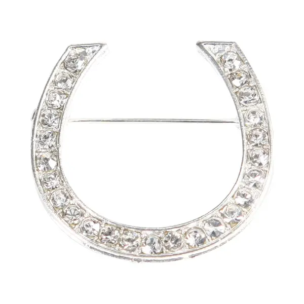 Horka Plastronspeld Hoefijzer 4 Cm Zilver thumbnail