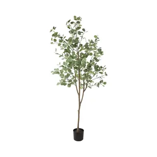 Countryfield Eucalyptus I/pot L140b140h180 Groen