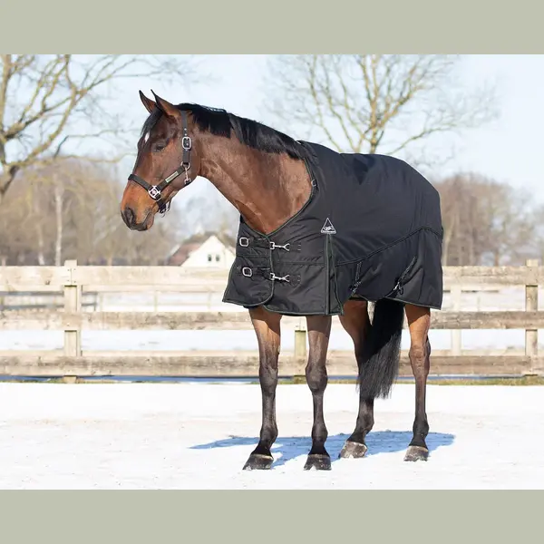 Qhp Turnout Combo Set Met Onderdeken En Hals Zwart thumbnail