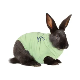 Medical Pet Shirt Kaninchen - Xxs