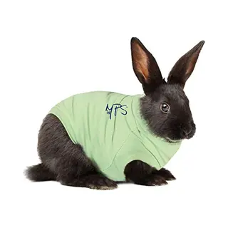 Medical Pet Shirt Kaninchen - S