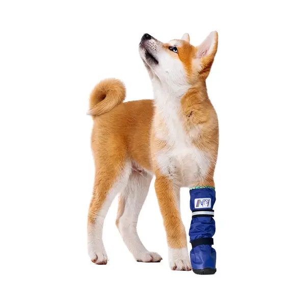 Medical Pet Shirt Medical PetS Boot - L thumbnail