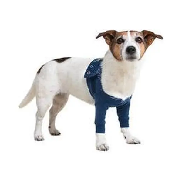 Medical Pet Shirt Mps-TAZ2 Vorderpfotenschutz - Xxl thumbnail