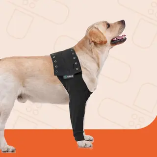 Suitical Recovery Sleeve Dog, Large, Black