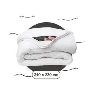 Ten Cate Dekbed - Dekbed 240 X 220 - Dekbedden - 4 Seizoenen - Zomerdekbed & Winterdekbed - Anti Allergie