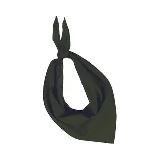 Kariban Hoofdband - Groen