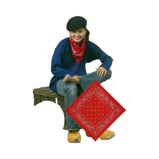 Fun en Feest Megastore Boeren Bandana Zakdoek Rood