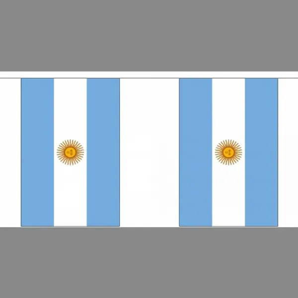 Argentinie Vlaggetjes Vlaggenlijn Slinger - 900 Cm - Polyester - Binnen/buiten - Versiering/feestartikelen thumbnail