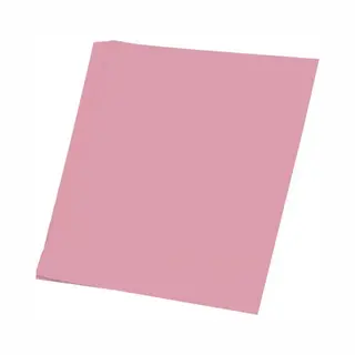 Haza Hobby Papier - A4 Lichtroze Papier Voor Knutselen - 50 Vellen - 130 Grams