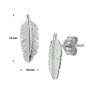 Glams Oorknoppen Veer - Zilver