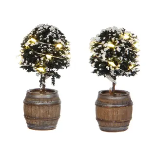Luville General Buxus Tree In A Barrel 2 Pieces