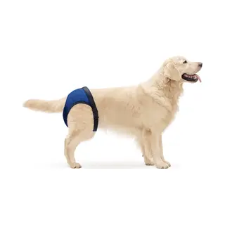 Nobleza Hondenbroekje - Loopsheidbroekje - Incontinentiebroekje Voor Hond - Xl