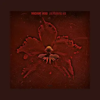 Music On Vinyl Burning Red
