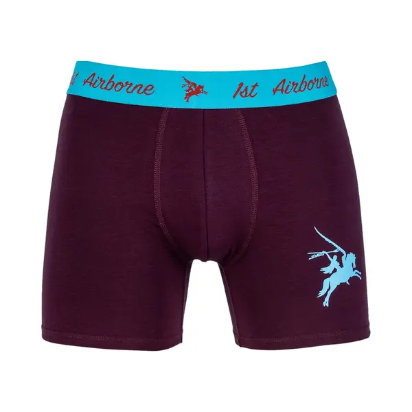 Fostex Boxershort Pegasus Bordo Xxl thumbnail