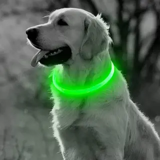 Professor Q Led Halsband Hond - Lichtgevende Halsband Hond - Groen - M - Usb Oplaadbaar