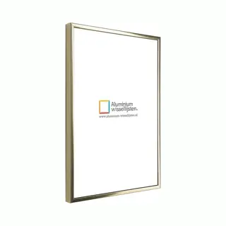 Lichtendonk Aluminium Wissellijst 20 X 25 Glans Goud - Ontspiegeld Glas - Art.nr., 048-001