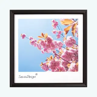 SecaDesign Iris Fotolijst - Fotomaat 20x20 Cm - Zwart
