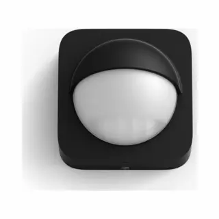 Philips by Signify Philips Motion Sensor Outdoor schwarz