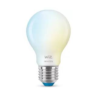 WiZ Frosted Glass Bulb 60 W A60 E27