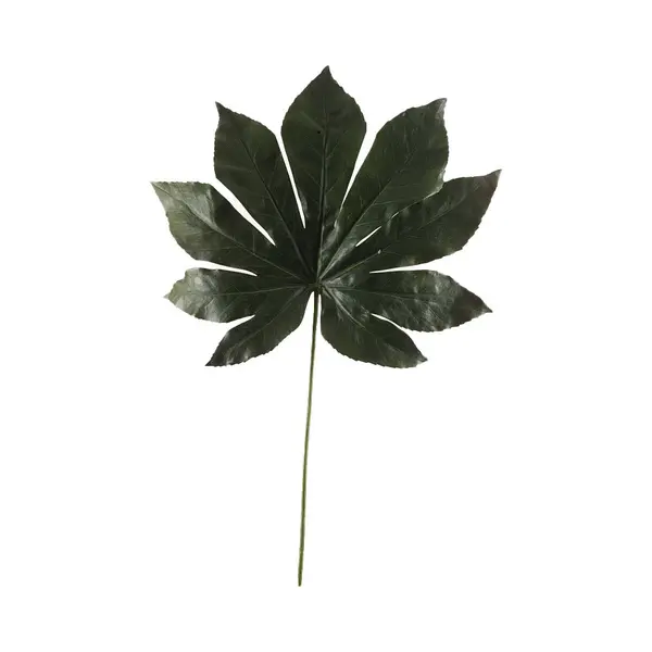 Kunst Vingerplant Blad - 55 Cm - Donkergroen - Kunstplant Tak thumbnail