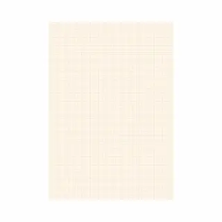 Kangaro Blok Millimeter Papier - In A3 Formaat - 25 Grote Vellen - Ruitjes Papier - Wiskunde - Technisch Tekenen - Tekenpapier