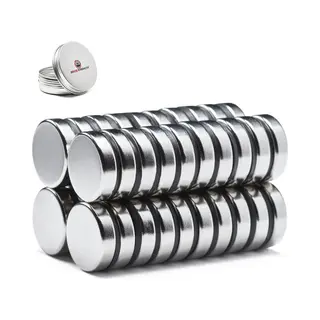 Brute Strength - Super Sterke Magneten - Rond - 20 X 5 Mm - 40 Stuks - Geschikt Voor Radiatorfolie - Neodymium Magneet Sterk - Magneten Koelkast -
