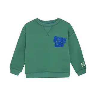 Noppies Sweatshirt Ridgely