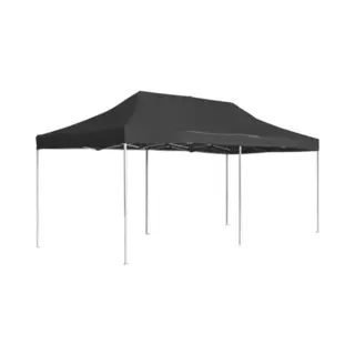 VidaXL Profi-Partyzelt Faltbar Aluminium 6x3 M Anthrazit