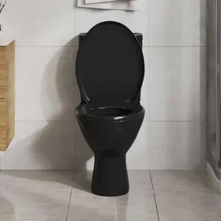 Vidaxl - Toilettensitz Mit Absenkautomatik Und Quick-release Schwarz
