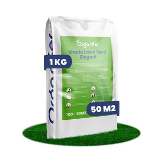 Schaduwgazon Graszaad (1kg, 50m2) - Graszaad Schaduw - Graszaad Snelkiemend - Organifer Elegant - Schaduw Graszaad - Nak Gecertificeerd - Zeer Hoge