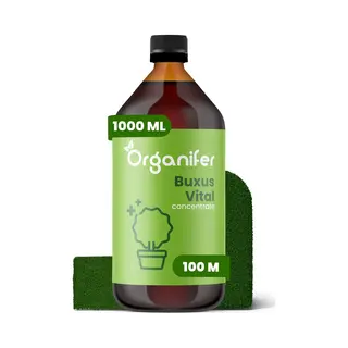 Organifer Buxus Vital 1000ml - Concentraat Voor 100 Meter Haag - Buxusmot Bestrijden - Buxusrups Bestrijdingmiddel - Buxusmot Bestrijdingmiddel - Buxus Schimmel