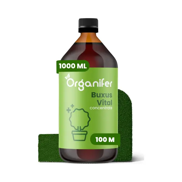 Organifer Buxus Vital 1000ml - Concentraat Voor 100 Meter Haag - Buxusmot Bestrijden - Buxusrups Bestrijdingmiddel - Buxusmot Bestrijdingmiddel - Buxus Schimmel thumbnail