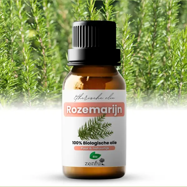 Zenful Rosmarinöl - Bio & Pure - 10ml thumbnail