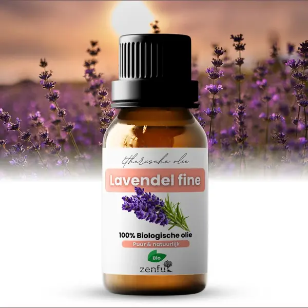 Zenful Lavendel Fein - Frankreich ätherisches Öl - Bio & Pur - 10ml thumbnail