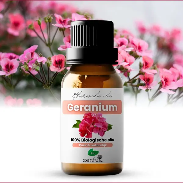Zenful Geranium Olie - 100% Bio & Puur - Natuurlijk - Etherische Olie - Geur - 10ml thumbnail