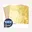 100x Goud