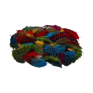 200x Gekleurde Parelhoen Veren - Vogel Decoratie Veertjes - Hobby Veren