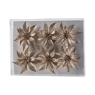 Cosy&Trendy Cosy & Trendy Bloemen Op Clip - 6x St - Champagne - Glitter - 8 Cm - Kerstversiering - Kerstbloemen