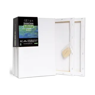 Elan Schildersdoeken 20x30 Cm, 6 Stuks Canvasdoeken 20x30 Cm, 100% Katoenen Canvas Voor Schilderen, Stretched Canvas, Painting Canvas 20x30 Cm, Pre